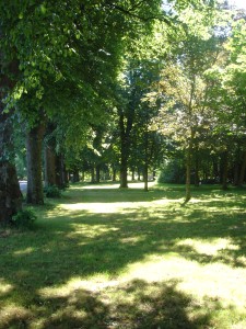 Dorfplatz Kastanien Linden Dörpplatz