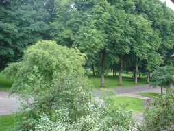 Dorfplatz Kastanien Linden