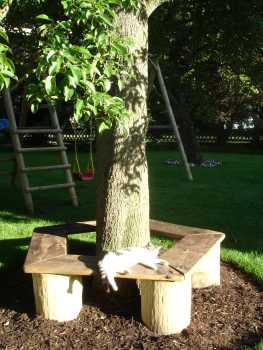 Birnenbaum Baumbank Katze