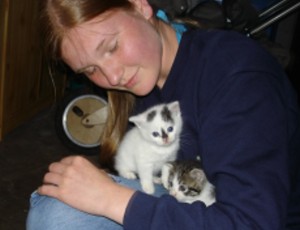 Katzenbabys