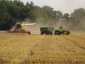 Ernte Mähdrescher MB-Trac